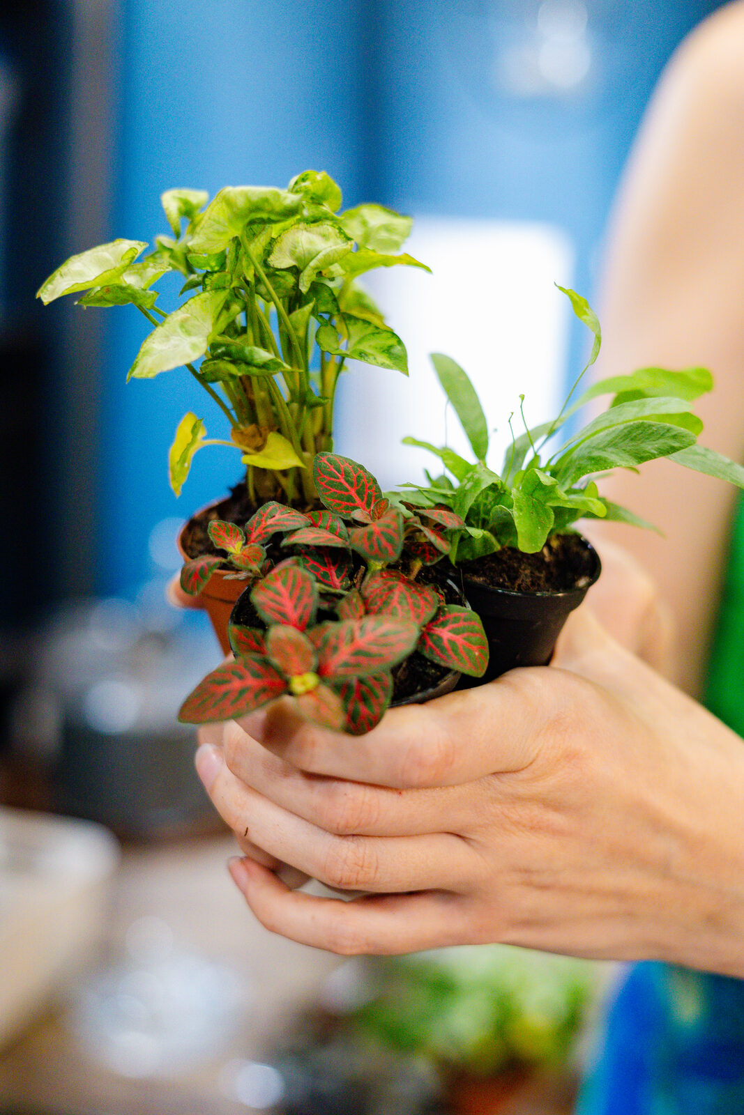 Business Branding - Product Photography