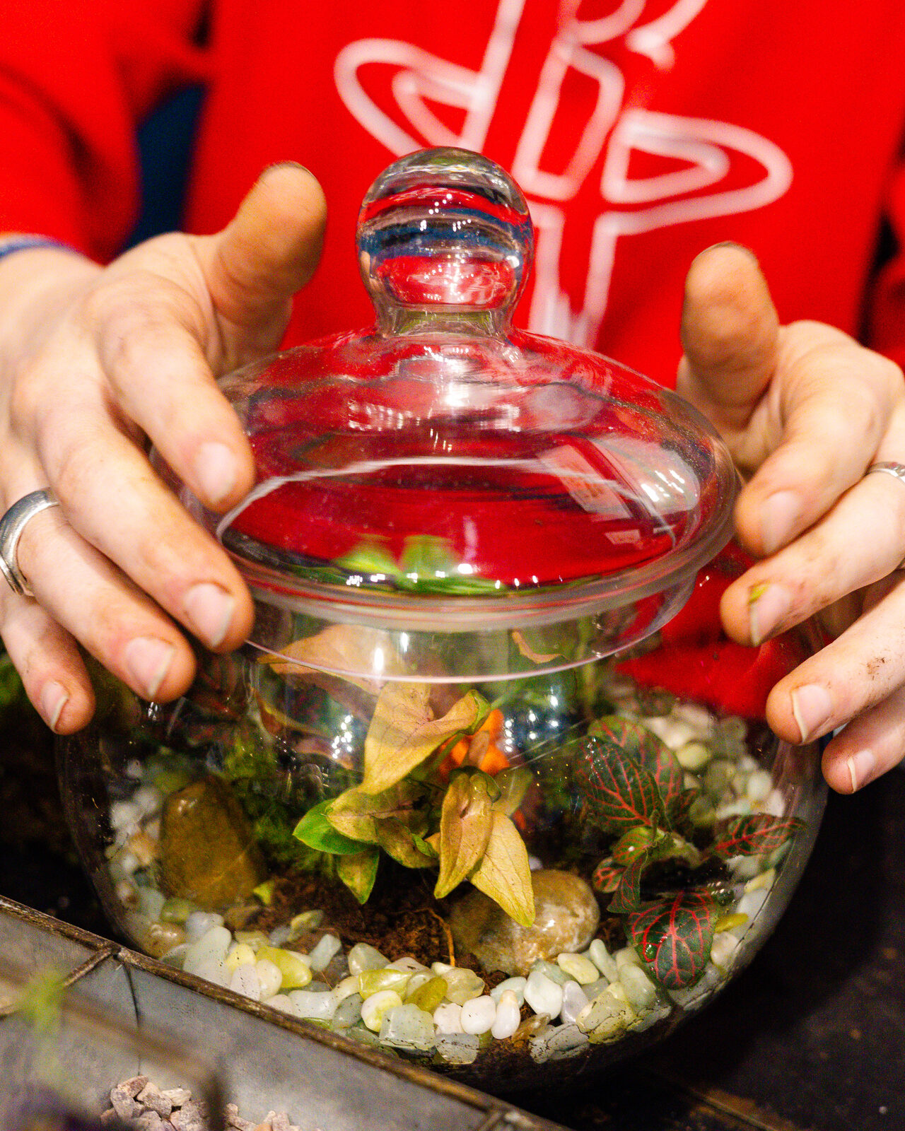 Business Branding - Brand Photography